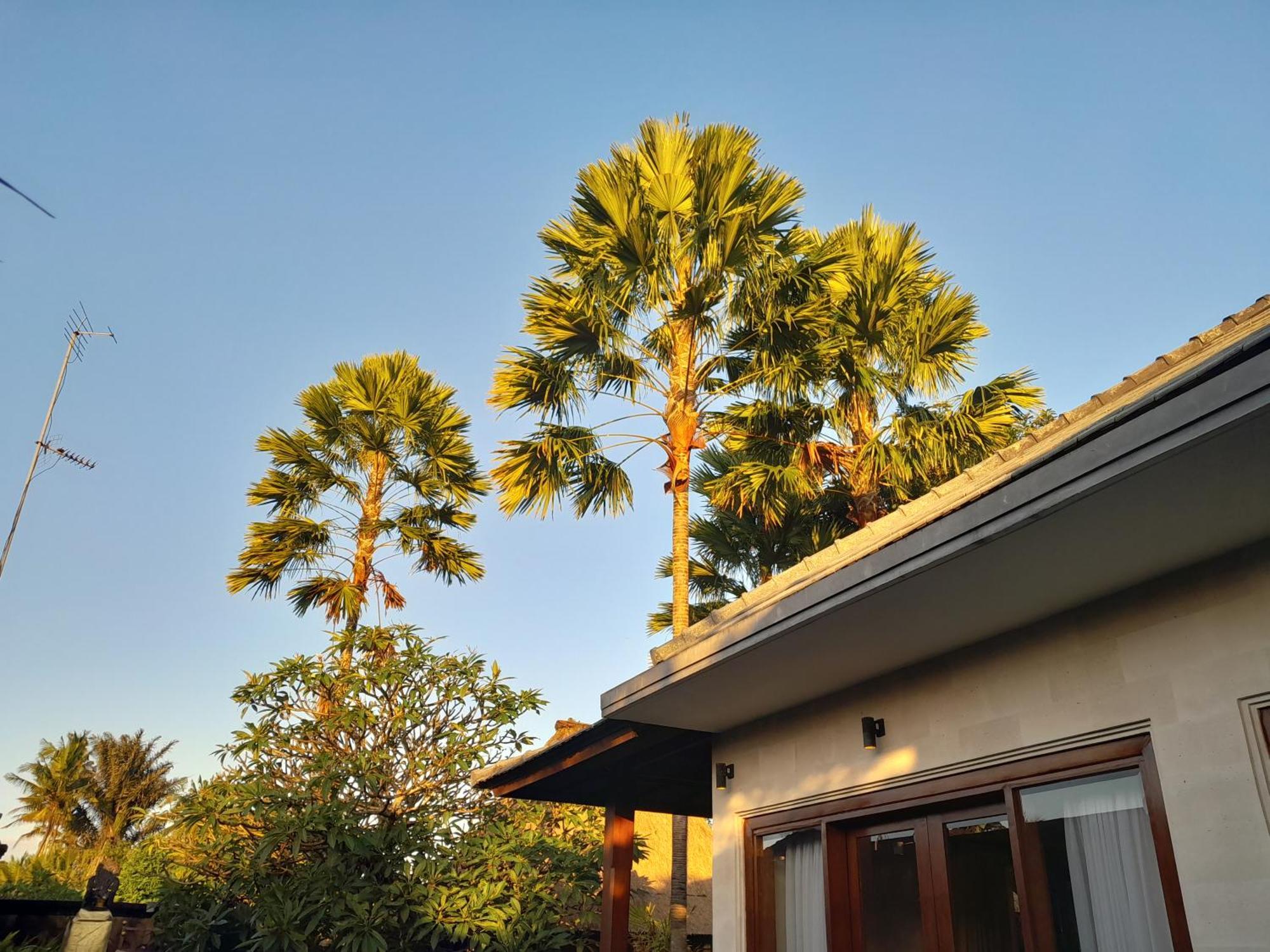 Tropical Retreat Gianyar (Bali)